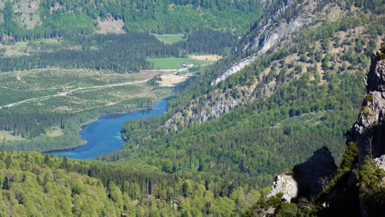 Almseeblick von ca. 1550 m