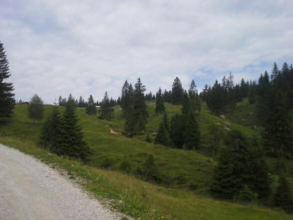 Richtung Eilalm