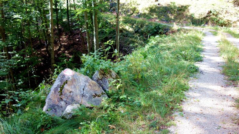 Forststraße queren 960 m