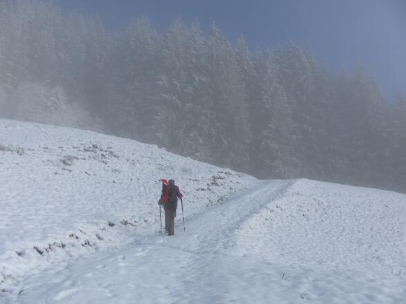 Abzweig Rettenebenalm Rundweg