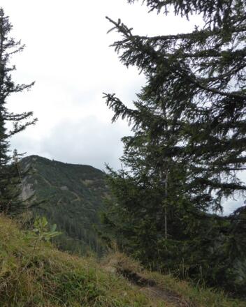 Blick auf den Großen Traithen