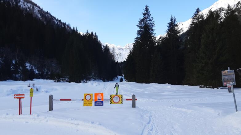 Ein kurzes Stück taleinwärts, dann links auf den Forstweg Richtung Tribulaunhütte abzweigen.