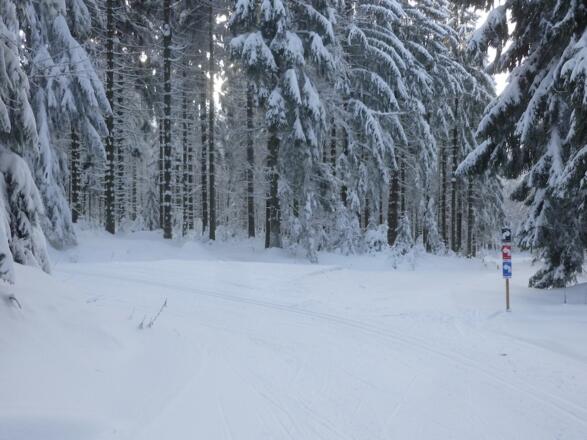 Linkskurve zu Start/Ziel