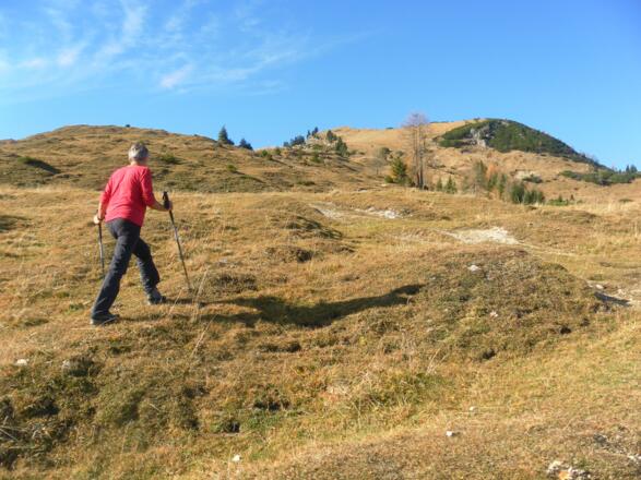 oberhalb der Seewaldhütte