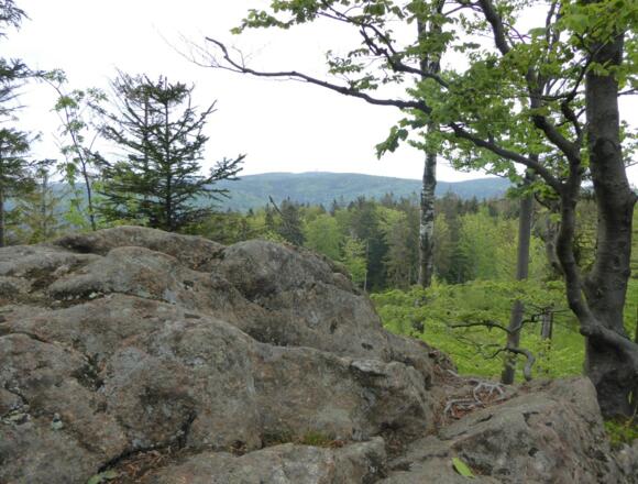 Wilde Pfade am Grat des Klammerfels mit Aussicht zum Cerchov