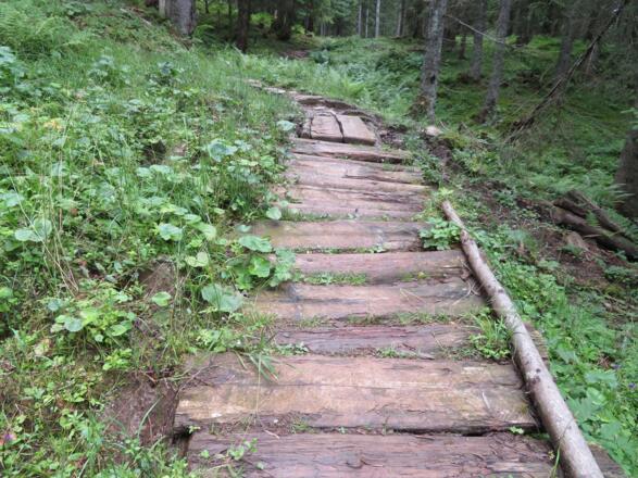 Stege im "Urzeitwald" beim Ansteig zur Sonnenalm