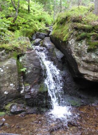 Kleiner Wasserfall an der Trinkwassertalsperre