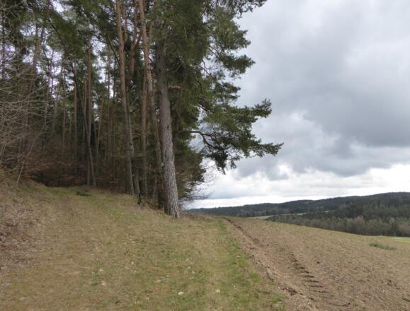 Aufstieg nach Sonnhof