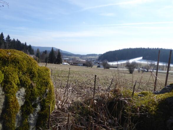 Blick auf St. Englmar