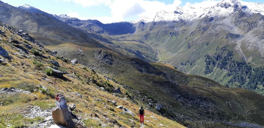Blick in den Talgrund zum Naviser Jöchl.