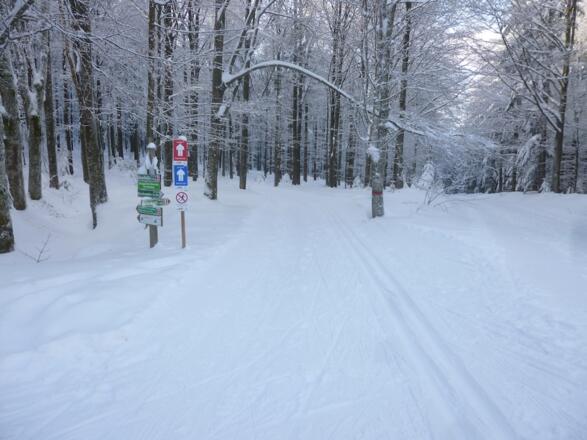 Abschnitt Mühlgrabenweg
