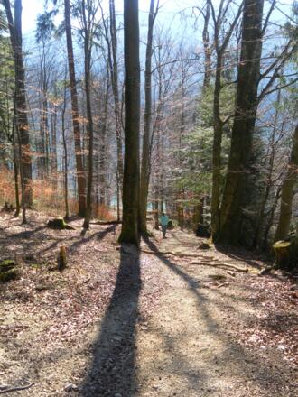 Abstieg zum See