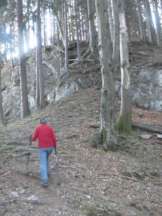 Rückweg zum Riesenkopfanstieg