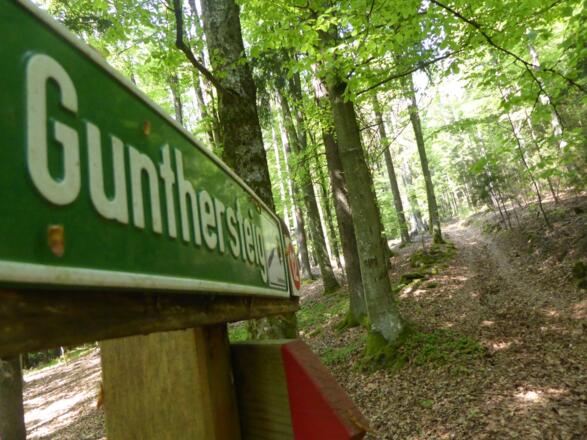 Gunthersteig hinauf zum Guntherstein