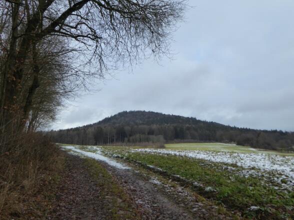 Blick auf den Zwirenzl