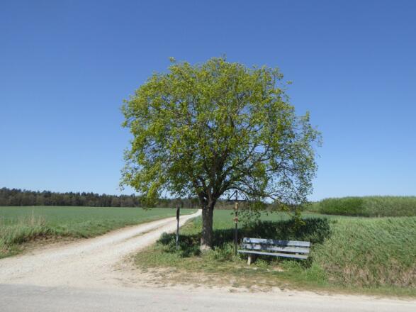 Brotzeitplatzl