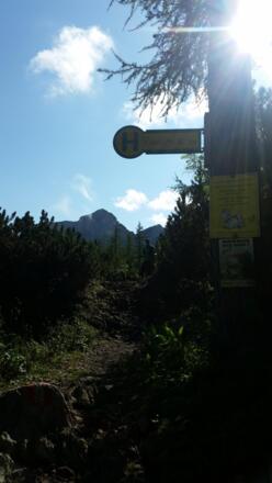 kurz vor der Rinnerkogel Hütte