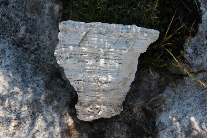 Löchriges Gestein, genannt Rauhwacke der Raibl-Formation