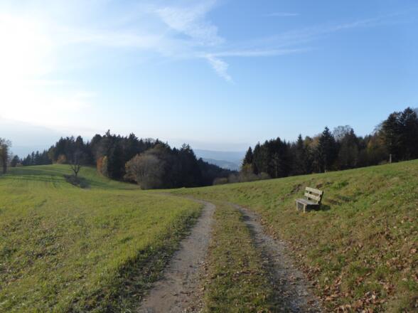Wiesenweg kurz vor Haibach