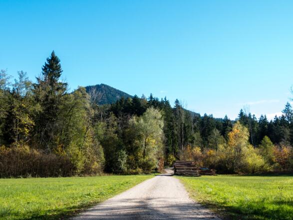 Der Weg zum Zinnkopf.