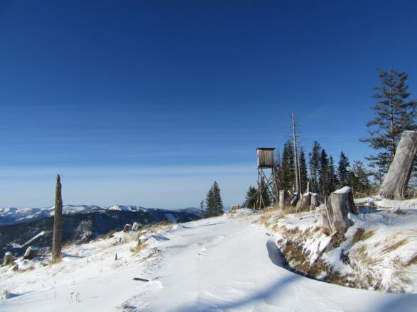 Am Haizmanneck 1363 m