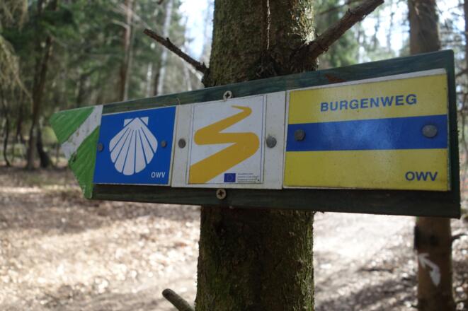 Vier Fernwanderwege - Burgenweg, Goldsteig, Jakobsweg und der Sautreiberweg