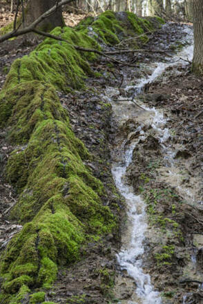 Steinerne Rinne bei Raschbach