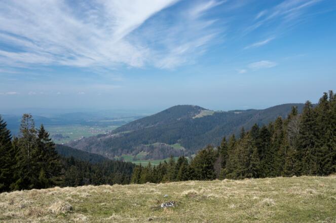 Ausblick zum Schwarzenberg