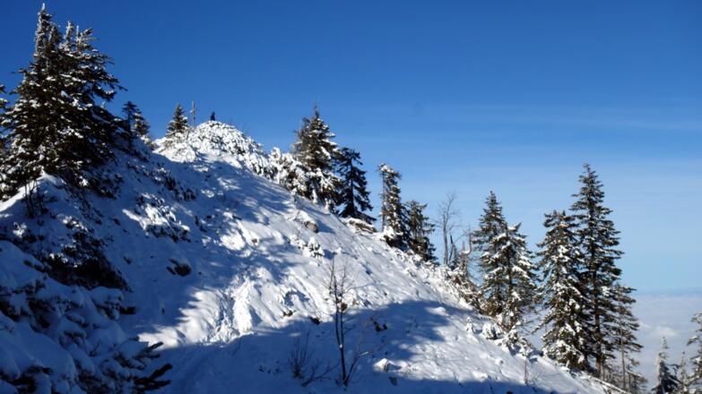 Steineck 1418m vom Übergang zum Jacksonstein 1417m