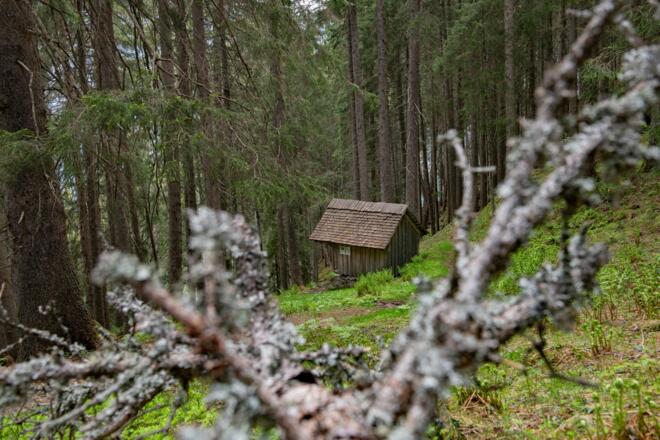 Bruderhüsli im Dalaaser Wald