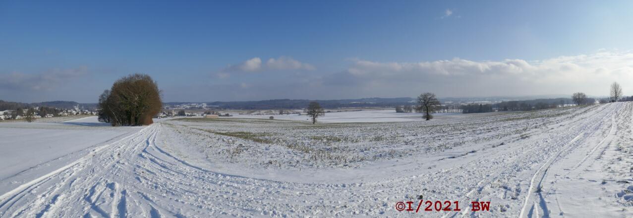 Blick ins Ampermoos