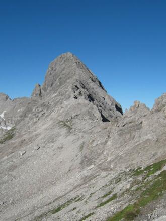 Bockkarkopf