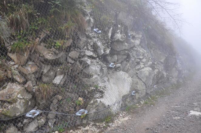 Flyschsandstein der Reiselsberg-Formation