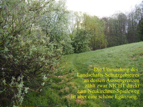 An der Grenze zum Natur-Schongebiet