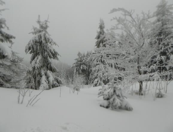 Winterlandschaft am Knogel