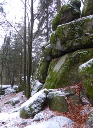 Höllbachtal - Naturschutzgebiet