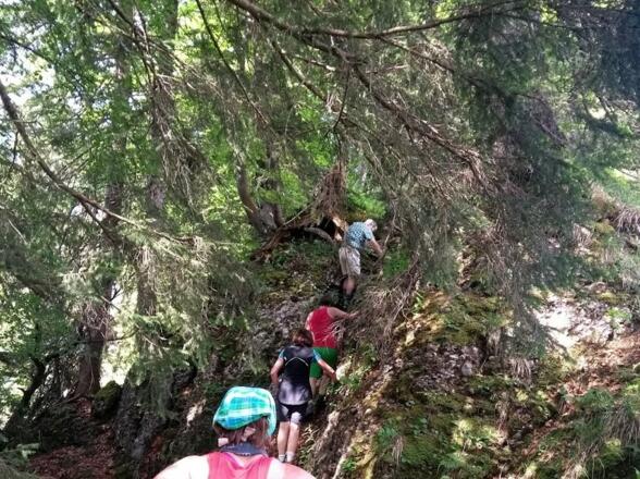 Auf zum Koppachstein!