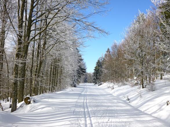 Abschnitt beim Hirschenstein-Rundkurs