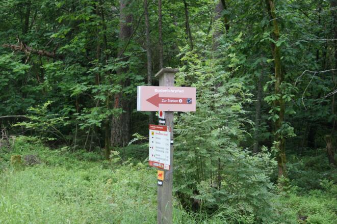 Wegweiser zur Station 8