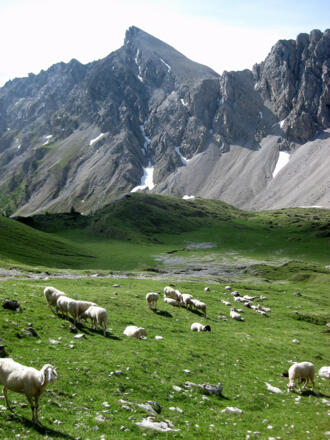 Weittalspitze von der Kerschbaumer Alm