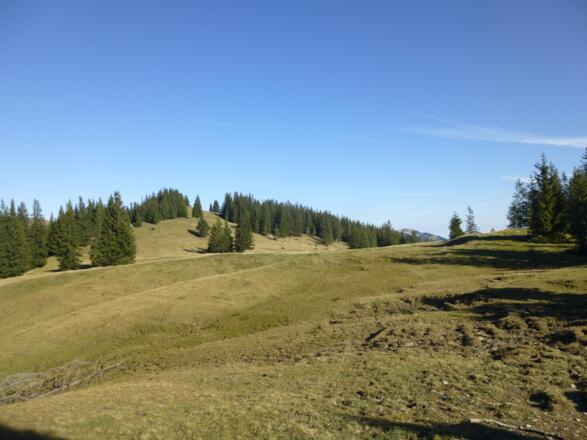 Hochmoor vor dem Tennenmooskopf