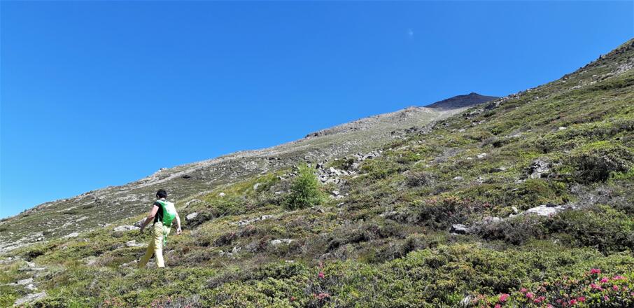 Der Gipfel mit den zwei Kreuzen ist bereits sichtbar, doch ...