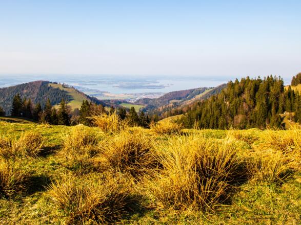 Blick zum Chiemsee.
