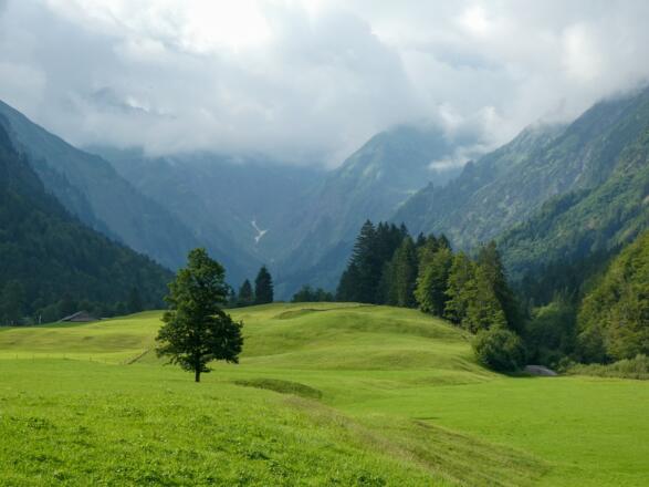 Blick in Richtung Spielmannsau im Trettachtal