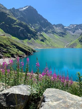 Blick vom Kartellstausee zur Saumspitze