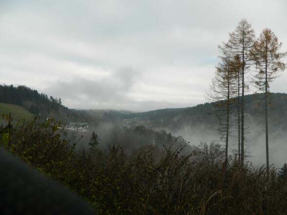 Blick in den Haselgraben