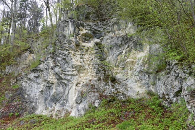 Alpiner Muschelkalk, verfaltet