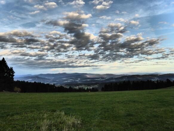 Blick bei Ahornwies in den Bayerischen Wald