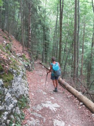 Abstieg nach Hammerbach