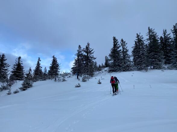 Kurz durch den Wald (außerhalb vom Skigebiet bleiben)
